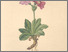 [thumbnail of 12295_1.png]