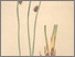 [thumbnail of 12352_1.png]
