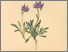 [thumbnail of 11939_1.png]