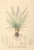 [thumbnail of 12381_1.png]