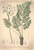 [thumbnail of 11851_1.png]