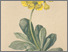 [thumbnail of 12290_1.png]