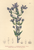 [thumbnail of 11963_1.png]