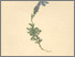 [thumbnail of 11976_1.png]