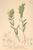 [thumbnail of 12012_1.png]