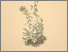 [thumbnail of 11884_1.png]