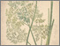 [thumbnail of 11854_1.png]