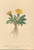 [thumbnail of 11926_1.png]