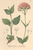 [thumbnail of 11865_1.png]