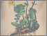 [thumbnail of 11784_1.png]