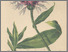 [thumbnail of 11912_1.png]