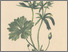[thumbnail of 11673_1.png]