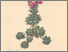 [thumbnail of 11813_1.png]
