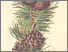 [thumbnail of 12328_1.png]
