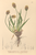 [thumbnail of 12308_1.png]