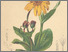 [thumbnail of 11899_1.png]