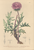 [thumbnail of 11911_1.png]