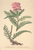 [thumbnail of 12008_1.png]