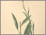 [thumbnail of 11943_1.png]