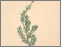 [thumbnail of 11886_1.png]