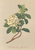 [thumbnail of 12316_1.png]