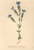 [thumbnail of 11981_1.png]