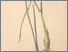 [thumbnail of 12348_1.png]