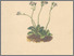 [thumbnail of 11994_1.png]