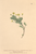 [thumbnail of 11829_1.png]