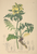 [thumbnail of 12011_1.png]