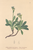 [thumbnail of 11684_1.png]