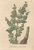 [thumbnail of 12309_1.png]