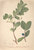 [thumbnail of 11855_1.png]