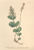 [thumbnail of 11995_1.png]