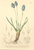 [thumbnail of 12373_1.png]