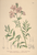 [thumbnail of 11984_1.png]