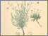[thumbnail of 11748_1.png]