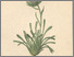 [thumbnail of 11942_1.png]