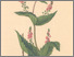 [thumbnail of 11993_1.png]