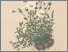 [thumbnail of 11754_1.png]