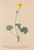 [thumbnail of 11672_1.png]