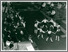 [thumbnail of 166_1.png]